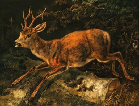 Maibock