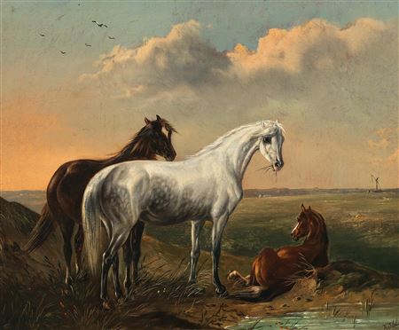 Mold and brown in a puszta landscape