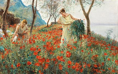 In a field of poppies