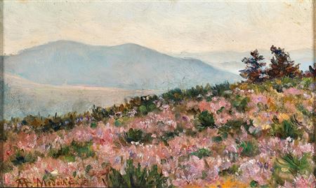 View of Peljesac with blooming heather