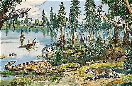 Eocene fauna by Geisteltal