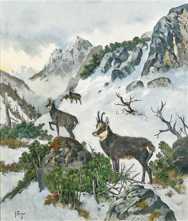 Chamois High in the Mountains by Georg Maria Berger - Auction record, sale price, and art valuation. Compare with similar artists and explore comparable artworks.