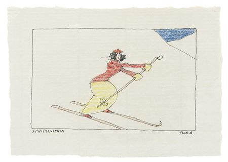 Ski Pioneer