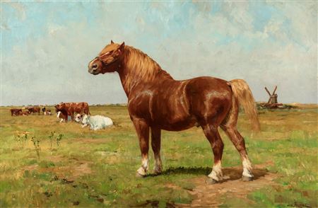 In the polders