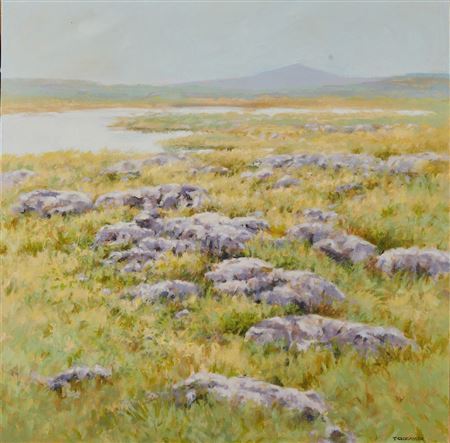AFTER SUMMER RAIN, NEAR MULLAGHMORE (THE BURREN).