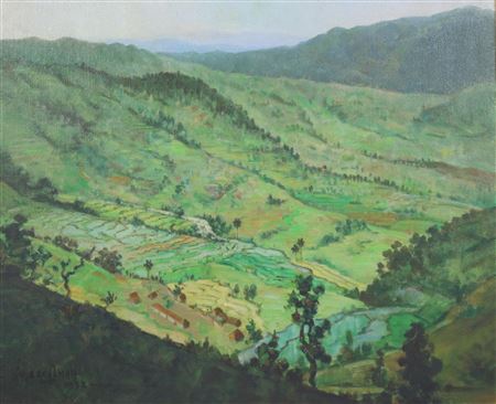 Rice fields in a valley