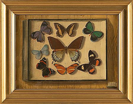 Trompe-L'oeil Of A Butterfly Specimen Diorama Hanging From A Wood Plank Wall