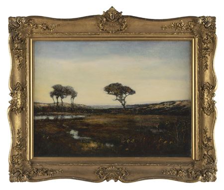 Expansive shore scene.