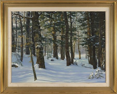 "Beech Front Property", Temple, Maine.