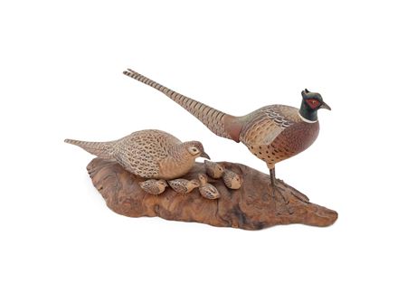 MINIATURE RING-NECKED PHEASANTS WITH CHICKS