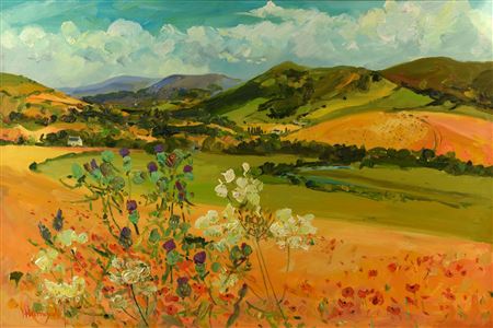 HILLS OF HOME