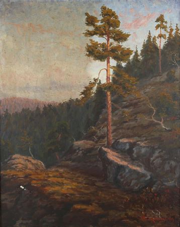 A Forest Path