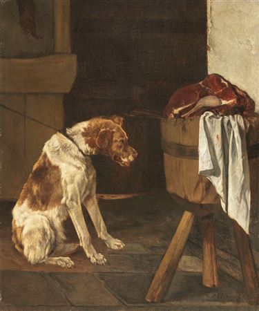 Cane in interno