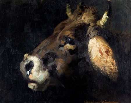 Cow head