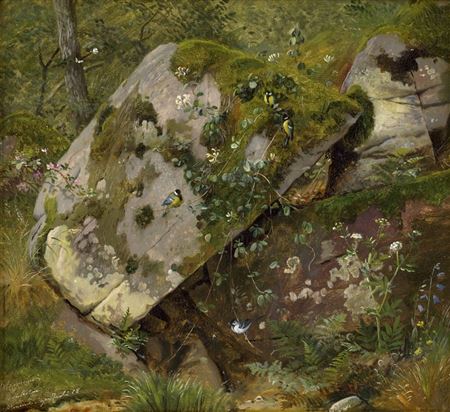 In the forest of Almindingen on Bornholm (Mossy rocks with wildflowers and titmice)