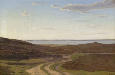 Heath landscape on the Danish coast