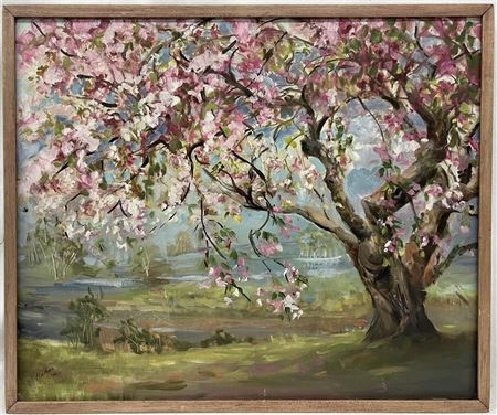 Cherry Tree East boyds Carmel