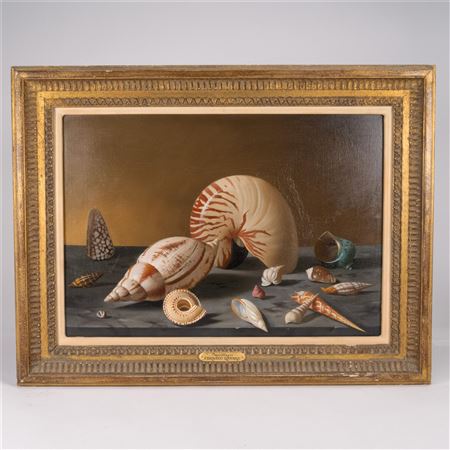 Still Life with Shells " Coquillages "
