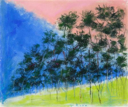 Blue and Pink Contrast