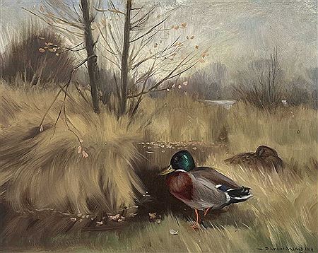 Pair of Mallards