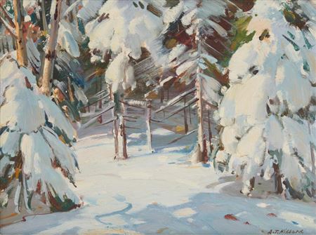 Snowy Path