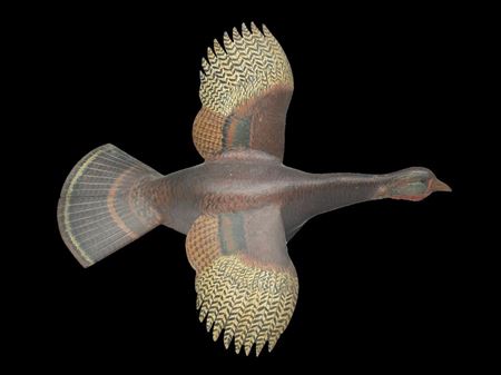 1/4 size flying turkey by George Reinbold - Auction record, sale price, and art valuation. Compare with similar artists and explore comparable artworks.