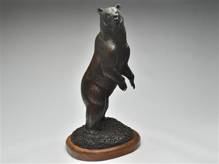 Grizzly bear standing on small stones