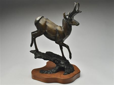 "Pronghorn Majesty"
