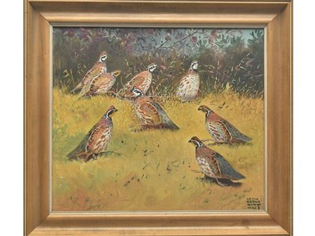Covey of bobwhite quail