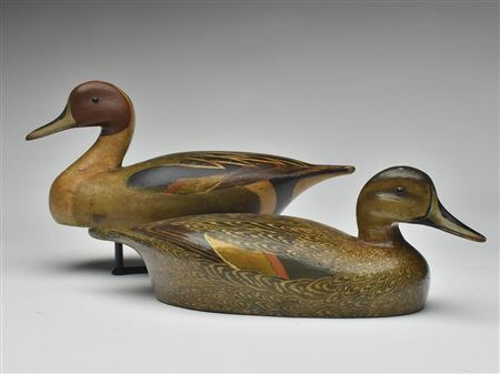 Very rare pair of pintails