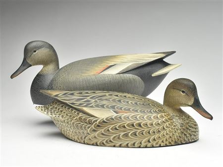 Pair of gadwall