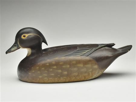 Extremely rare wood duck hen by Ferdinand Homme - Auction record, sale price, and art valuation. Compare with similar artists and explore comparable artworks.