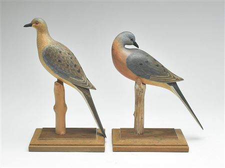 Extremely rare pair of passenger pigeon
