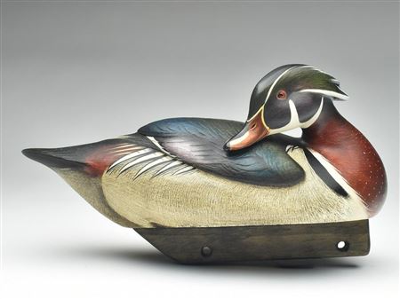 Impressive and important wood duck drake