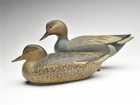 Pair of gadwall