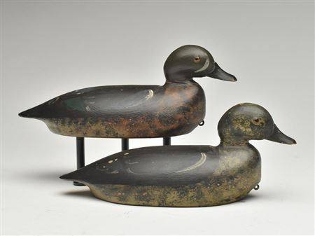 Extremely rare and important rigmate pair of bluewing teal