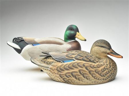 Pair of mallards