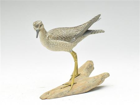 Excellent half size yellowlegs