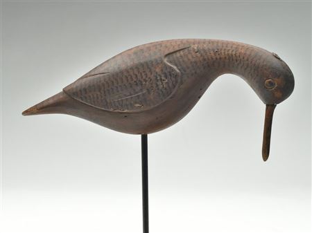 Exceedingly rare feeding dowitcher