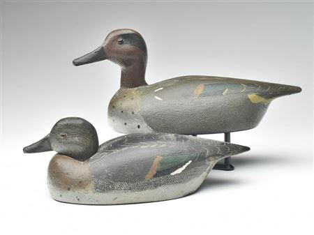 Pair of greenwing teal