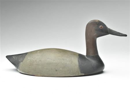 High head canvasback