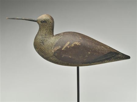 Large curlew