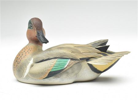 Excellent preening greenwing teal