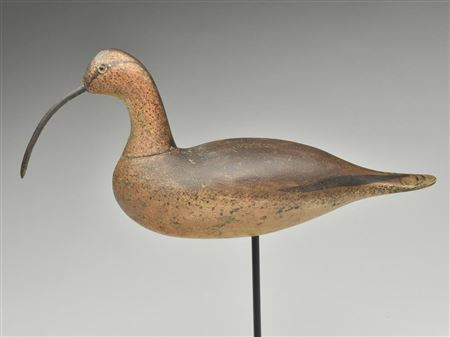Large curlew