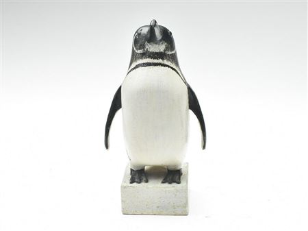 Very rare magellanic penguin