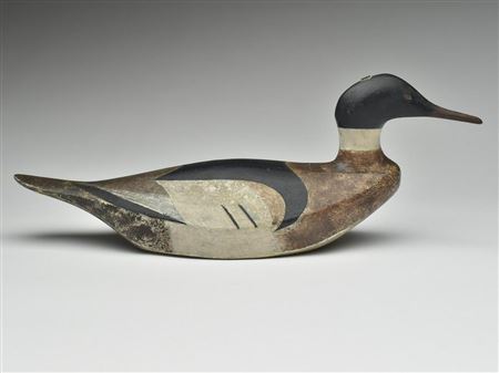 Outstanding red breasted merganser