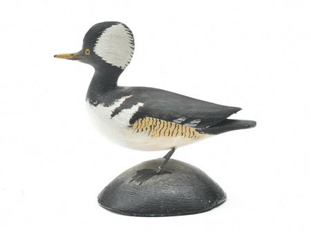 Early miniature hooded merganser