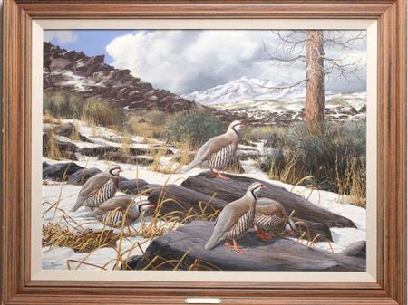 FIRST SNOW - CHUKAR PARTRIDGE