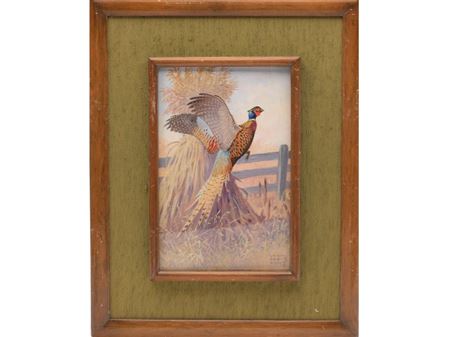 Single Flushing Pheasant