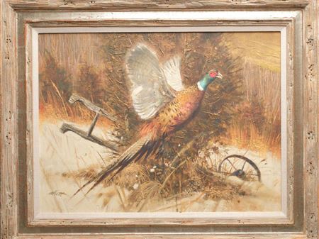 A Flushing Pheasant
